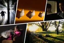 تاثیر نور در عکاسی چیست