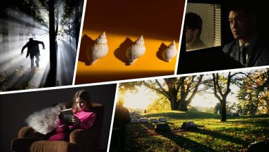 تاثیر نور در عکاسی چیست