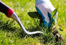 روشهای گوناگون از بین بردن علف‌ هرز