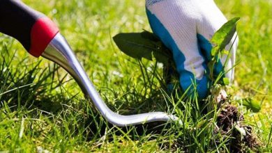 روشهای گوناگون از بین بردن علف‌ هرز