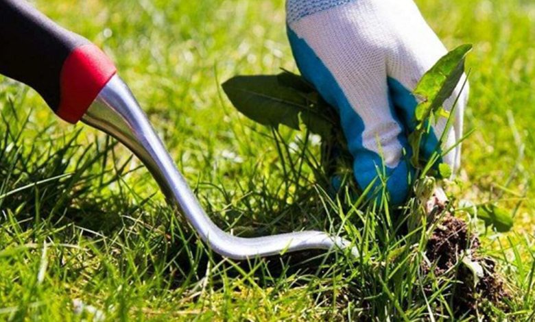روشهای گوناگون از بین بردن علف‌ هرز
