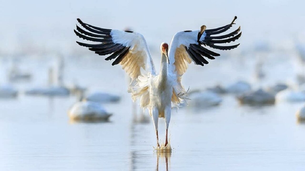 اماکن گردشگری گیلان و مازندران