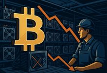 ممنوعیت فعالیت همه مزارع ماینینگ