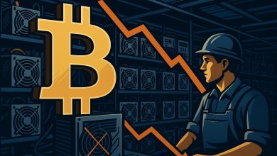 ممنوعیت فعالیت همه مزارع ماینینگ