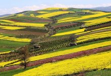 مکان های گردشگری مازندران