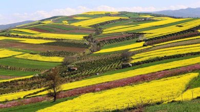 مکان های گردشگری مازندران