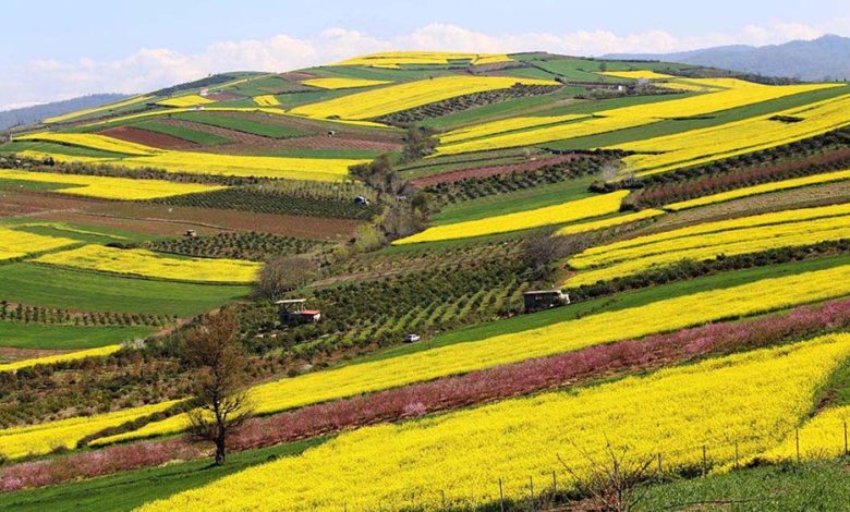 مکان های گردشگری مازندران