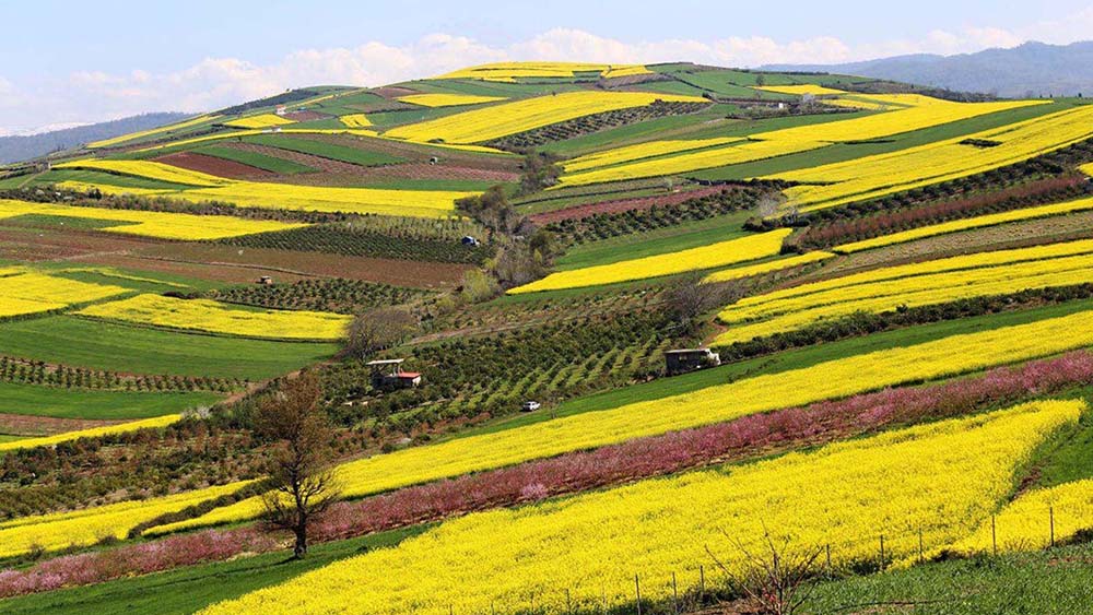 مکان های گردشگری مازندران