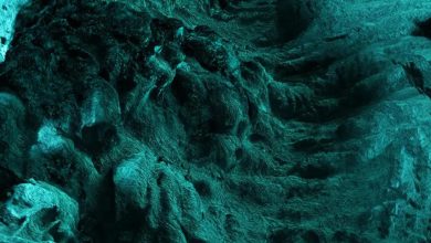 رنگ سال ۲۰۲۶ آبی فیروزه ای دگرگون‌کننده