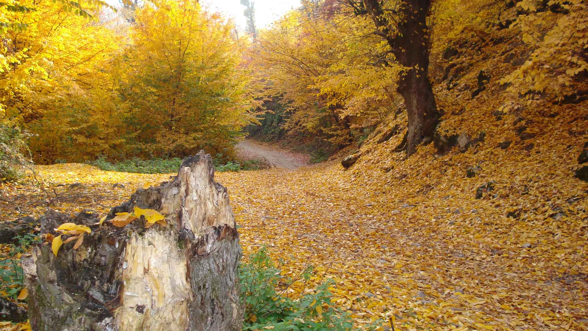 اماکن گردشگری گیلان و مازندران