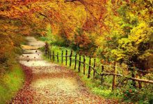 مکان های دیدنی اطراف تهران در پاییز