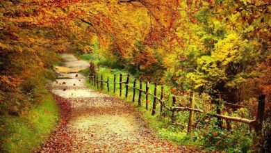 مکان های دیدنی اطراف تهران در پاییز