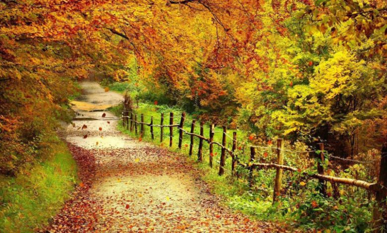 مکان های دیدنی اطراف تهران در پاییز