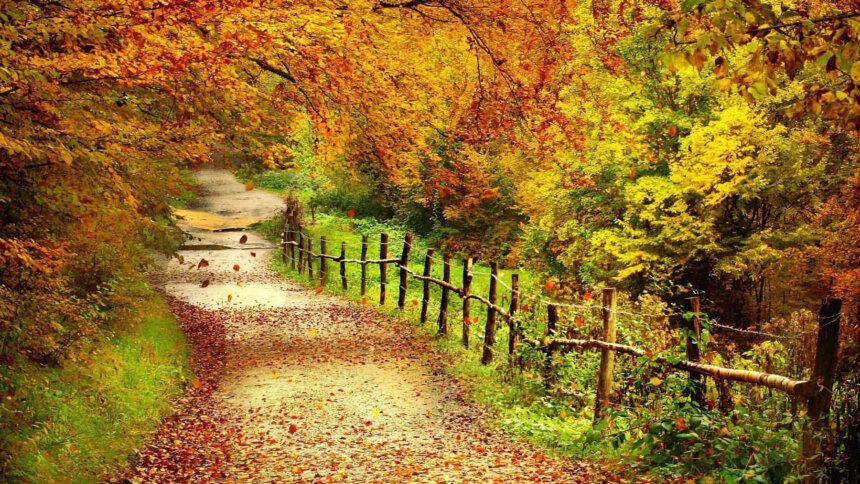 مکان های دیدنی اطراف تهران در پاییز