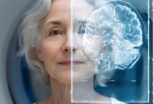 اوج عملکرد مغز انسان از 55 تا 65 سالگی