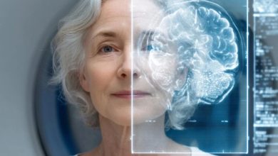 اوج عملکرد مغز انسان از 55 تا 65 سالگی