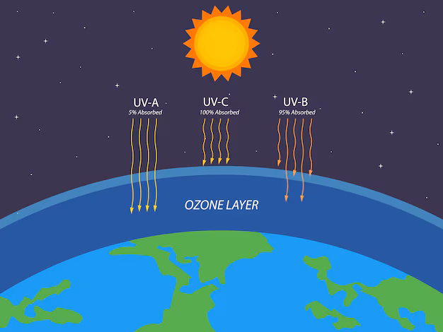 اگر لایه اوزون از بین برود