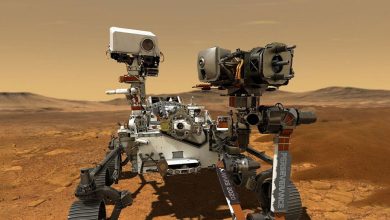 کشف عجیب در سیاره سرخ؛ مریخ نورد پرسویرنس سنگی یافت که متعلق به مریخ نیست!