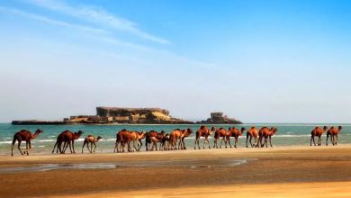 مکان های دیدنی قشم در پاییز