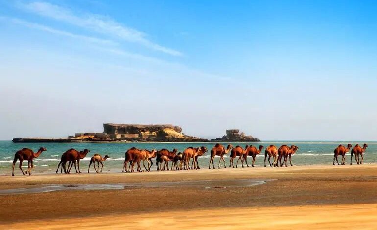 مکان های دیدنی قشم در پاییز