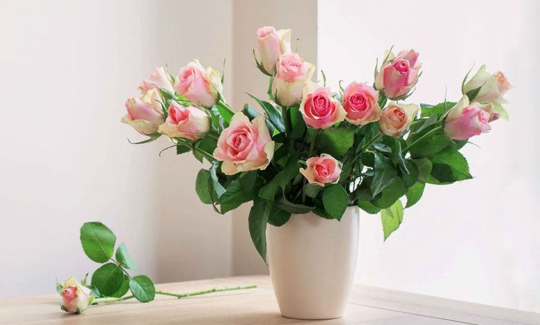 نگهداری از شاخه گل بریده