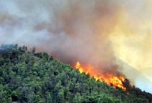 آتشسوزی جنگلهای هیرکانی؛ اعزام کمک های بین المللی به جنگل‌های مازندران