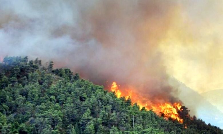 آتشسوزی جنگلهای هیرکانی؛ اعزام کمک های بین المللی به جنگل‌های مازندران