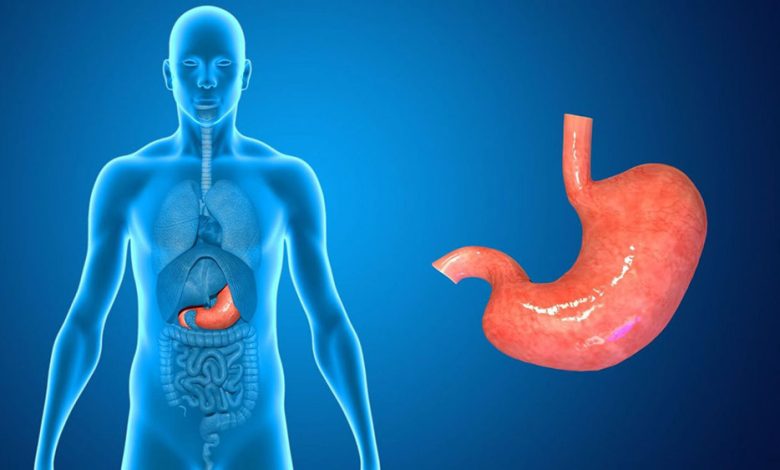 عفونت روده و معده، دلیل تا درمان