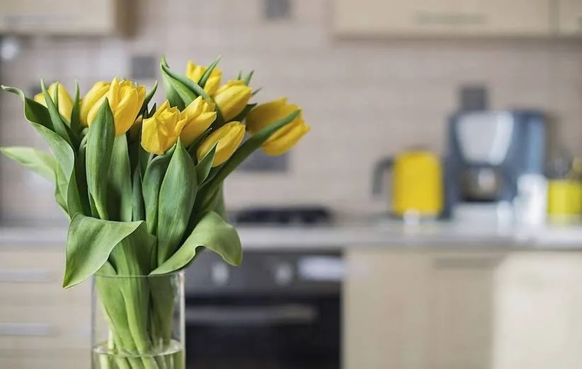 نگهداری از شاخه گل بریده