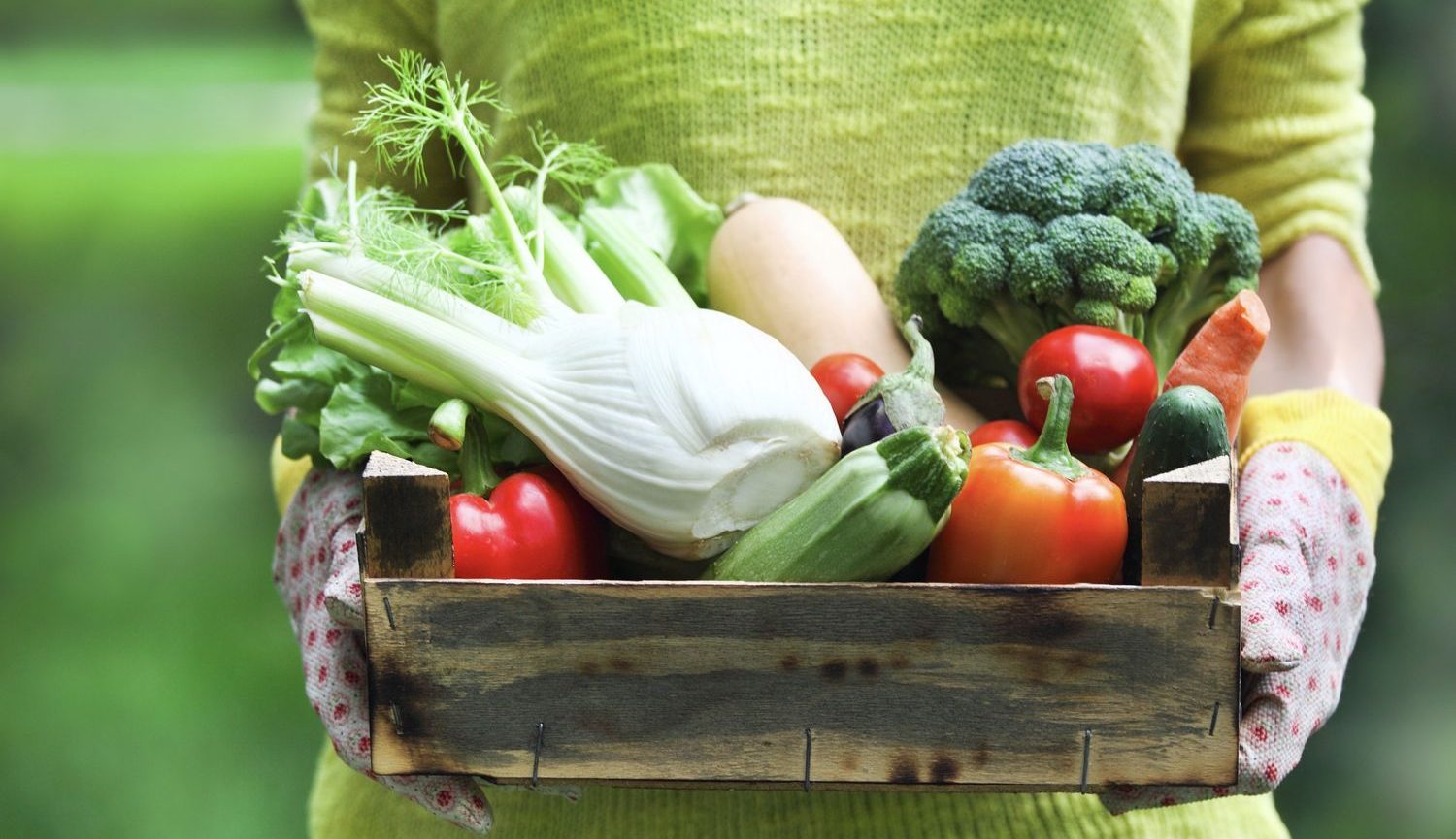 صیفی‌جات چه نقشی در تأمین ویتامین C دارند؟