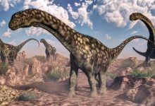 بزرگترین حیوانات تاریخ