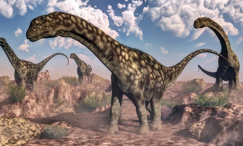 بزرگترین حیوانات تاریخ