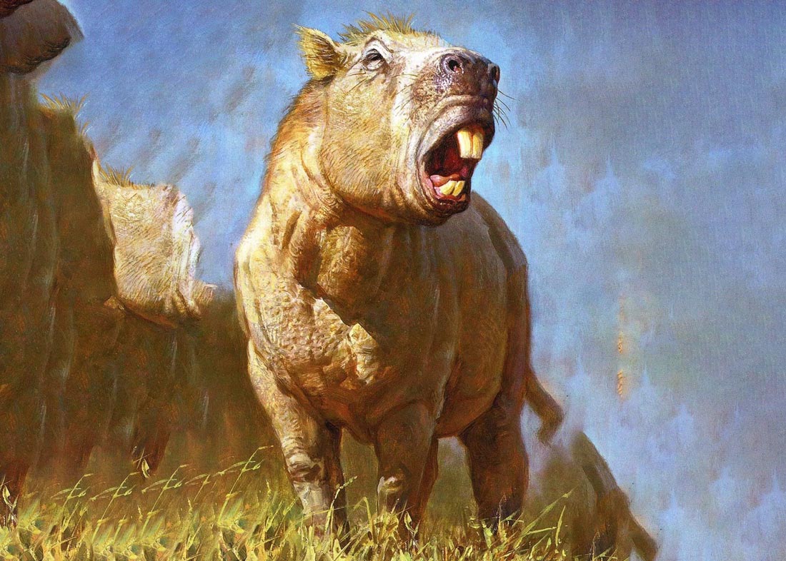 جوزفوارتيگاسيا مونسی