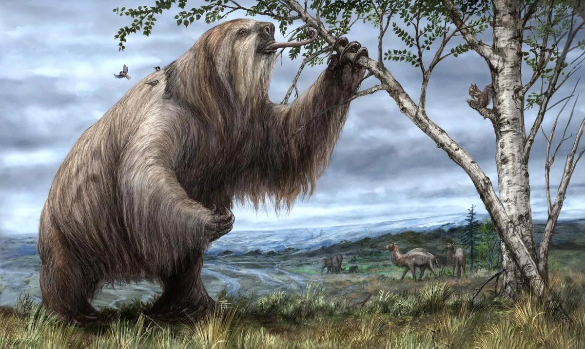 مگاتریوم (تنبل غول‌پیکر)