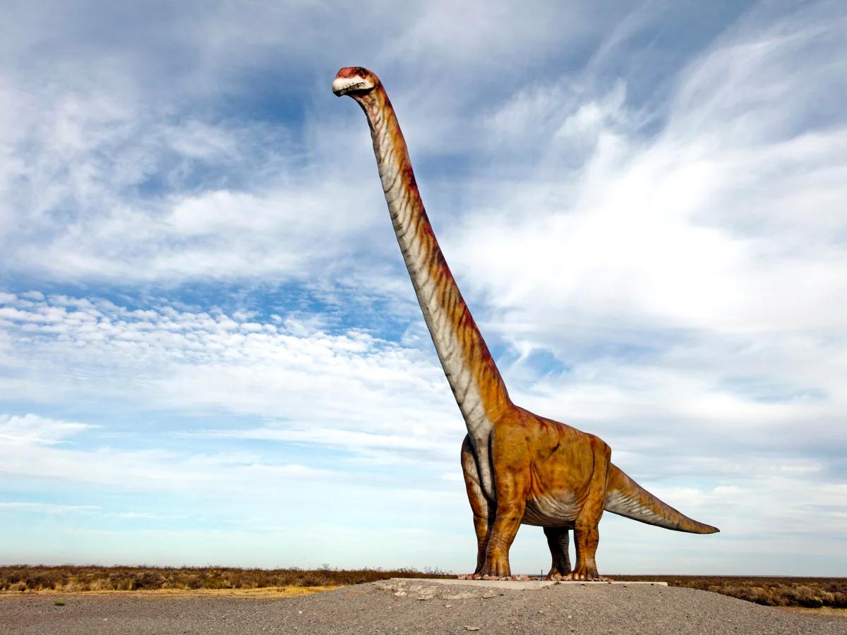پاتاگوتایتان مایوروم( بزرگترین دایناسور)