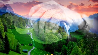 گیلان و مازندران سالمندترین استان‌های کشور