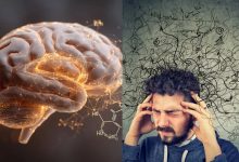 عامل اصلی اضطراب در مغز شناسایی شد