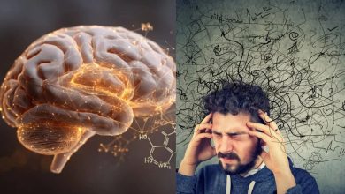  عامل اصلی اضطراب در مغز شناسایی شد