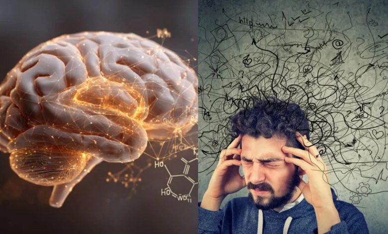  عامل اصلی اضطراب در مغز شناسایی شد