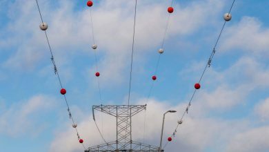 توپ‌های نارنجی روی سیم‌های برق