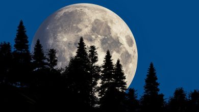 قرص بزرگ ماه آخر هفته در آسمان می‌درخشد