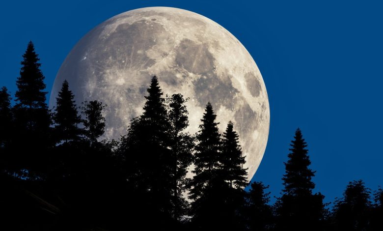 قرص بزرگ ماه آخر هفته در آسمان می‌درخشد