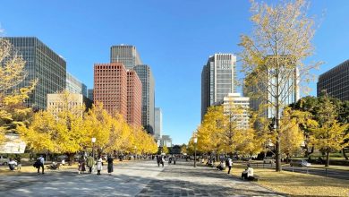 چرا در خیابان‌های ژاپن خبری از سطل زباله نیست؟