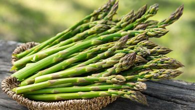 مارچوبه چیست؟