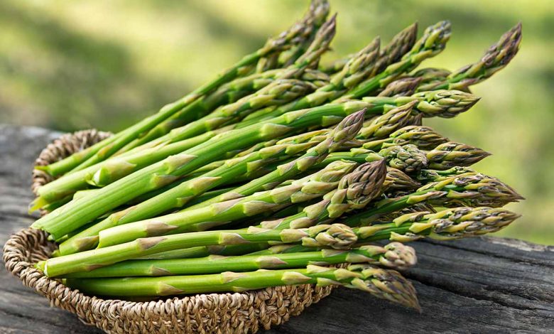 مارچوبه چیست؟