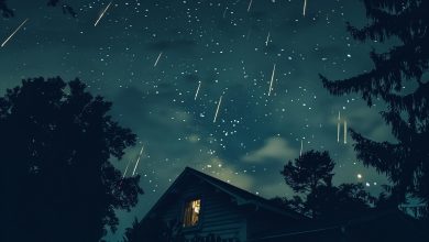 پرفروغ‌ترین بارش شهابی سال ۲۲ و ۲۳ آذر