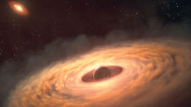 رصد زایشگاه قمرها توسط تلسکوپ جیمز وب برای نخستین بار