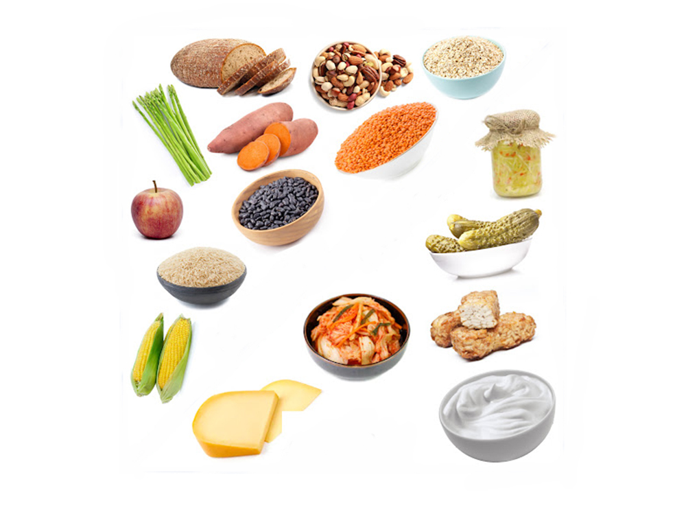 پروبیوتیک چیست؟