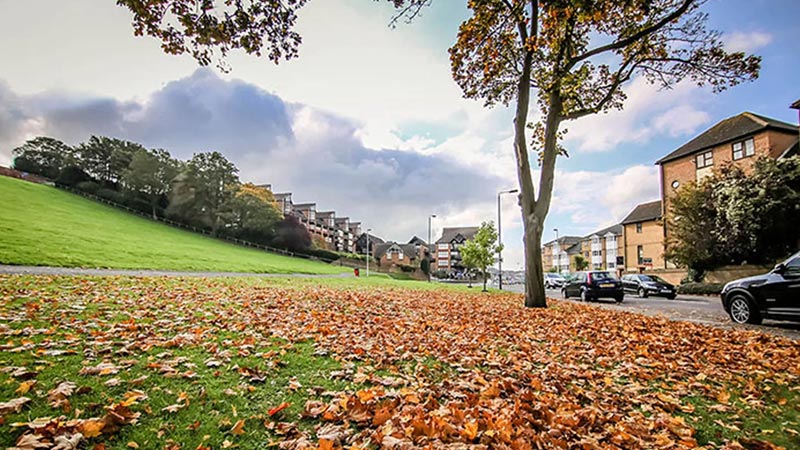 نکات و ترفندهای عکاسی پاییزی که باید بدانید