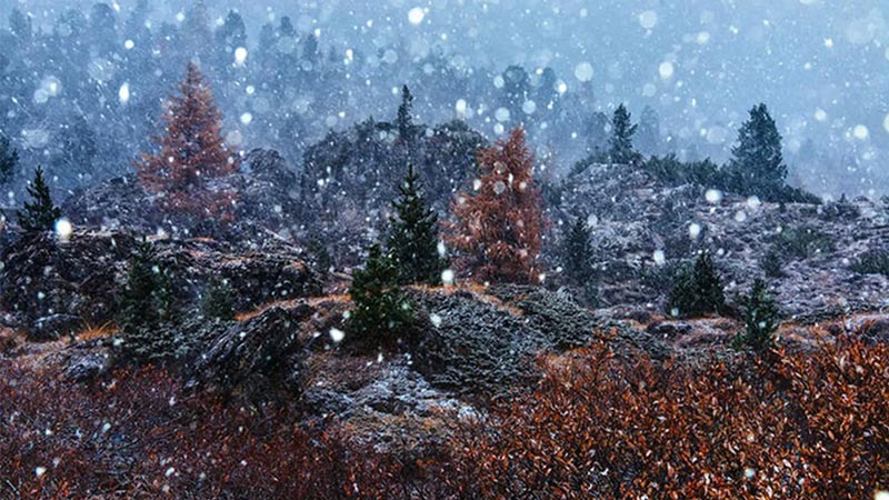 نکات و ترفندهای عکاسی پاییزی که باید بدانید